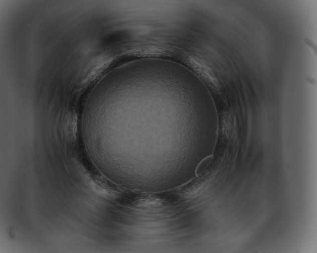 X0000093370206200710191122