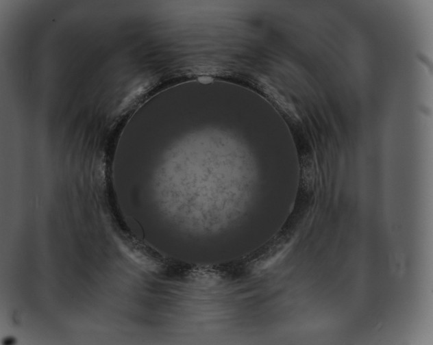 X0000093370207200710191122