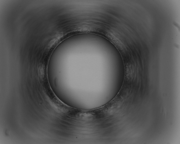 X0000093370208200710191122