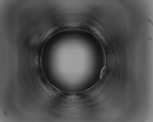 X0000093370212200710191122