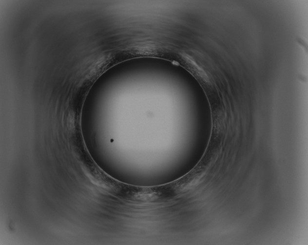 X0000093370213200710191122