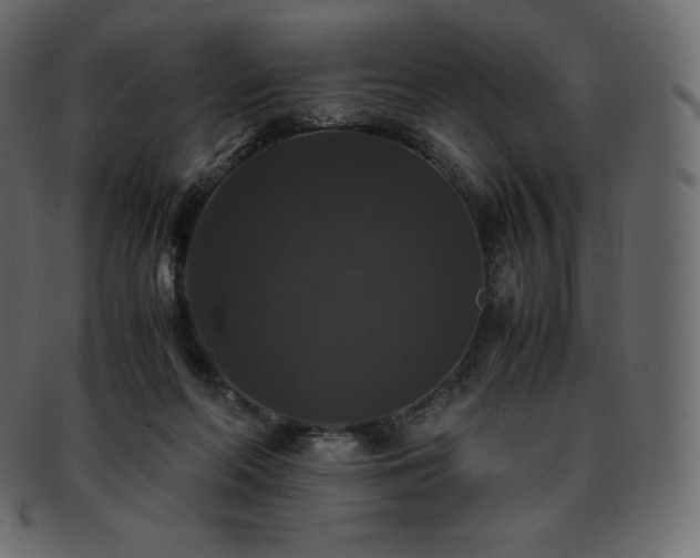 X0000093370214200710191122