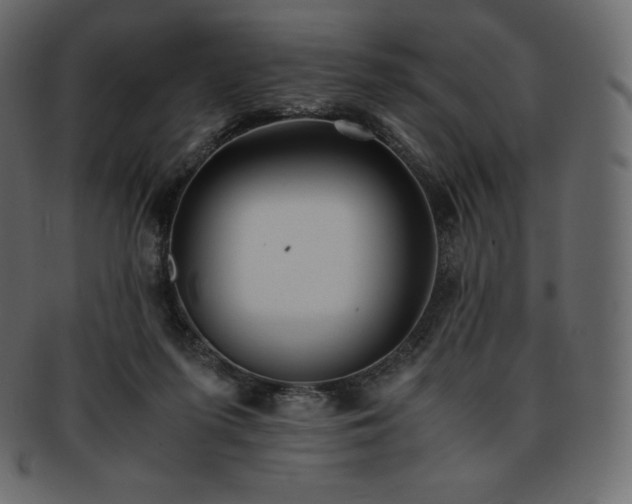 X0000093370215200710191122