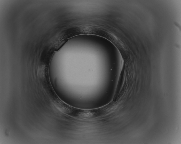 X0000093370217200710191122