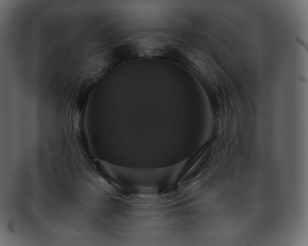 X0000093370219200710191122