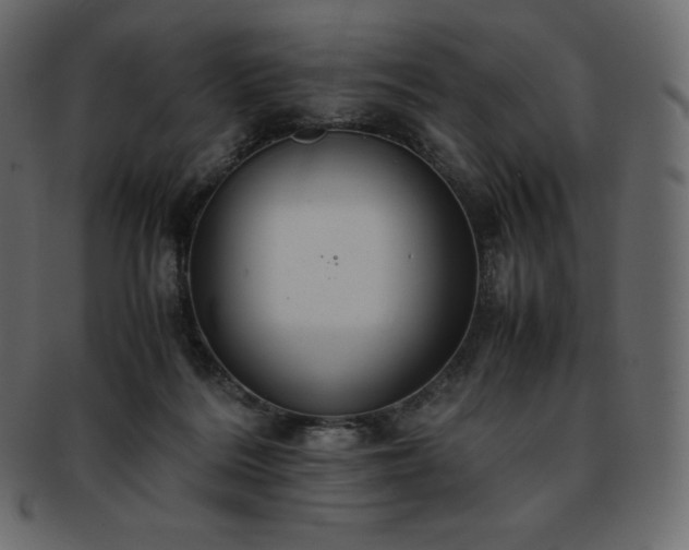 X0000093370220200710191122