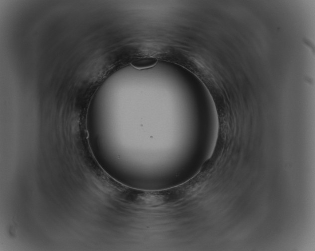 X0000093370221200710191122