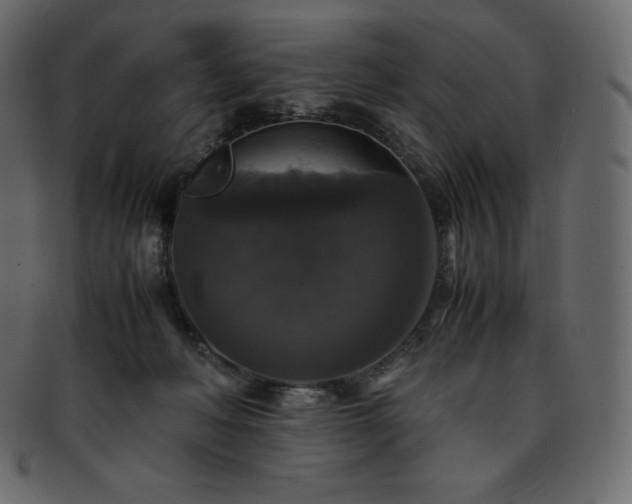 X0000093370222200710191122