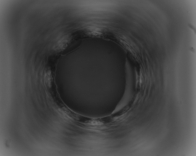 X0000093370223200710191122