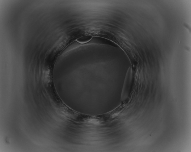 X0000093370224200710191122