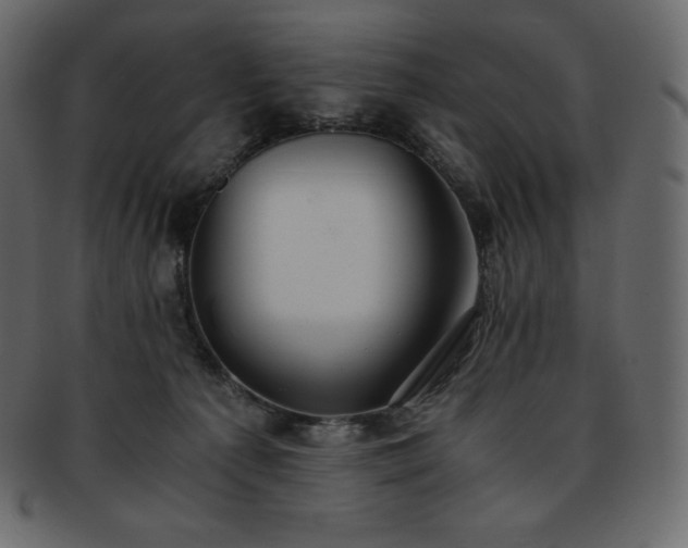 X0000093370225200710191122