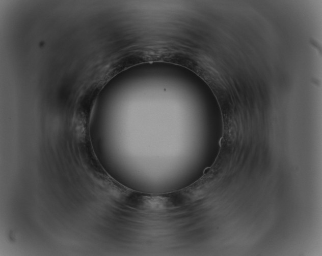 X0000093370226200710191122