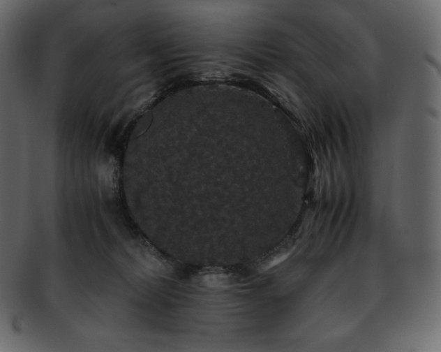 X0000093370228200710191122