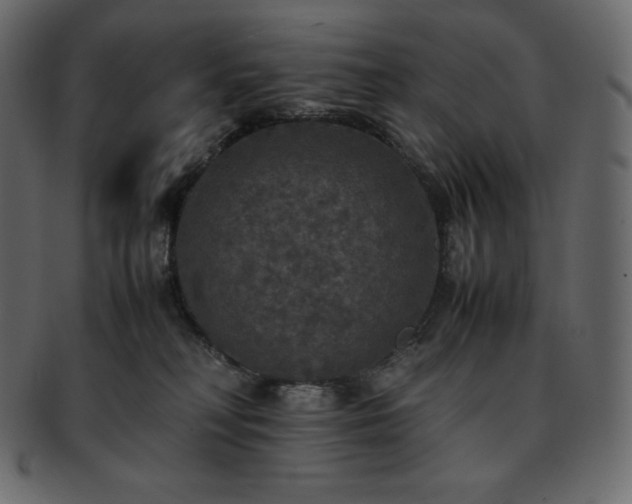 X0000093370230200710191122