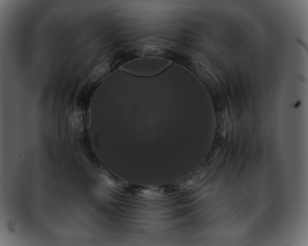 X0000093370232200710191122