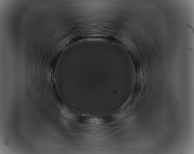 X0000093370233200710191122