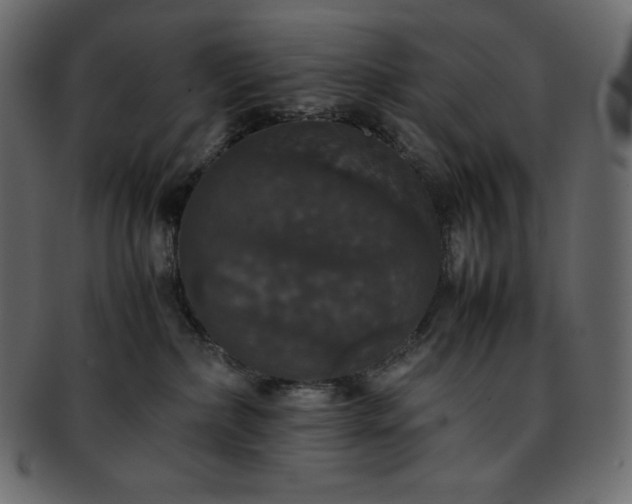 X0000093370236200710191122