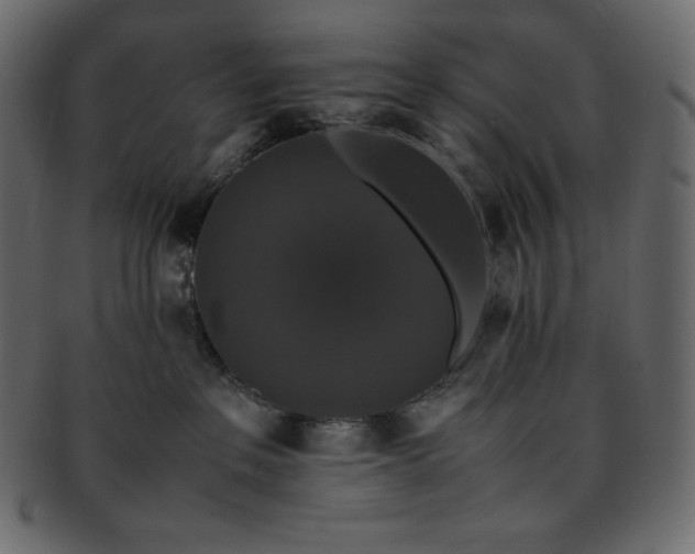 X0000093370237200710191122