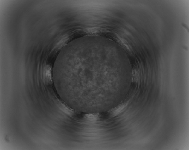 X0000093370238200710191122