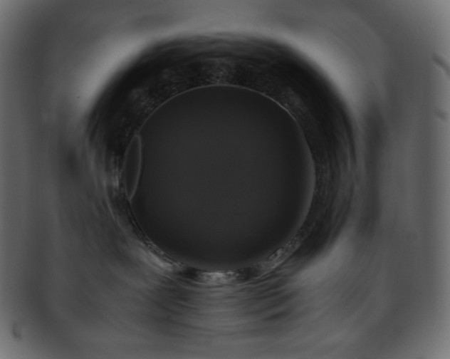 X0000093370239200710191122