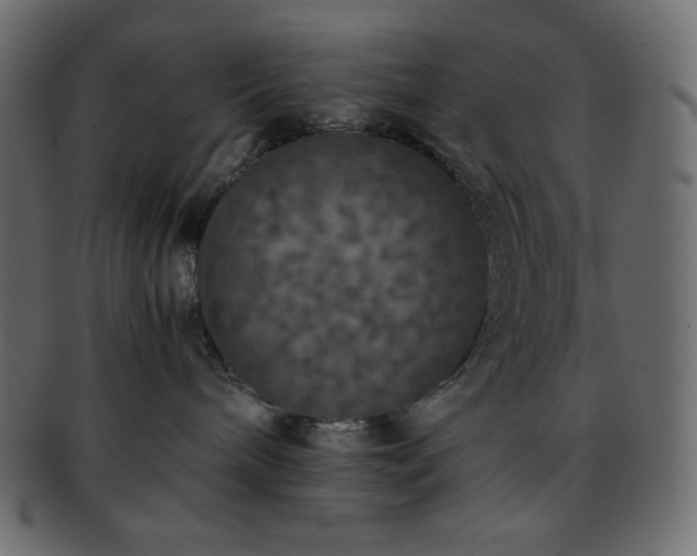 X0000093370240200710191122