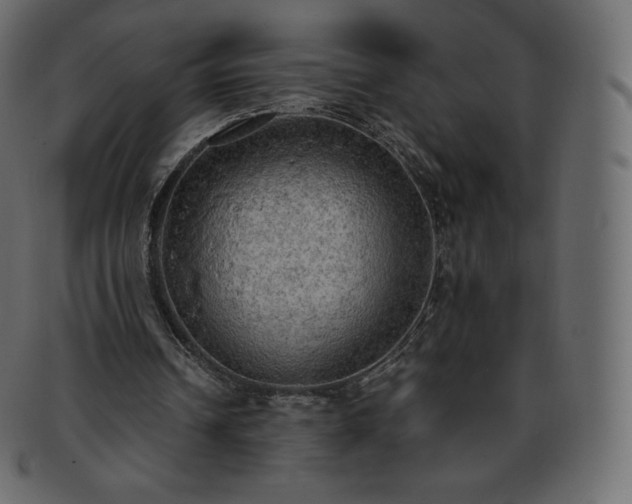 X0000093370242200710191121