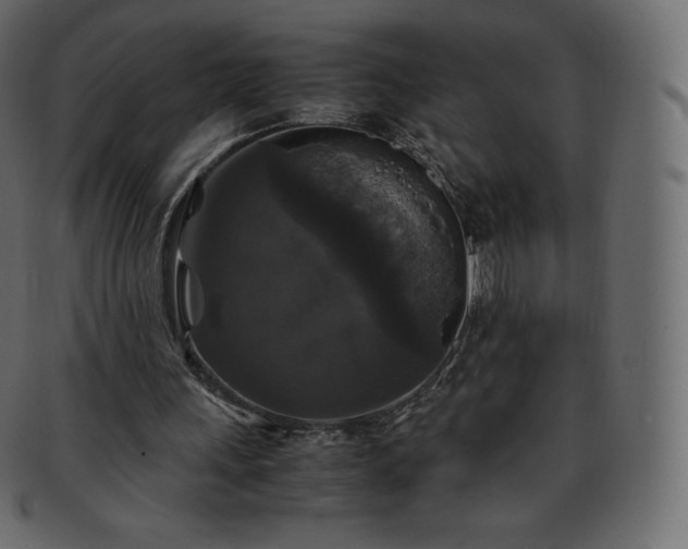 X0000093370243200710191121