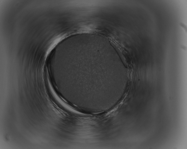 X0000093370244200710191121