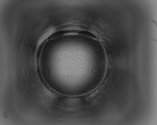 X0000093370245200710191121