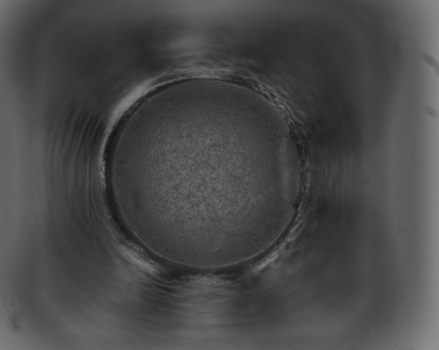 X0000093370246200710191121