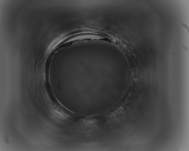 X0000093370247200710191121