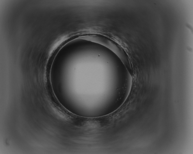 X0000093370248200710191121