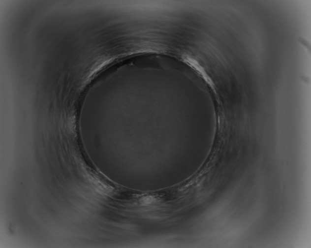 X0000093370249200710191121