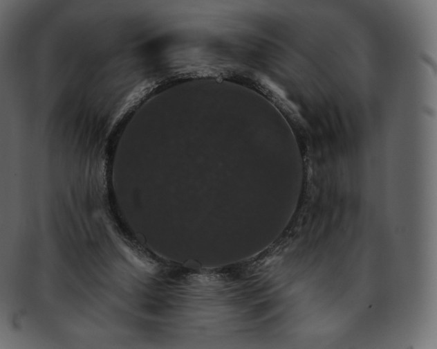 X0000093370250200710191121