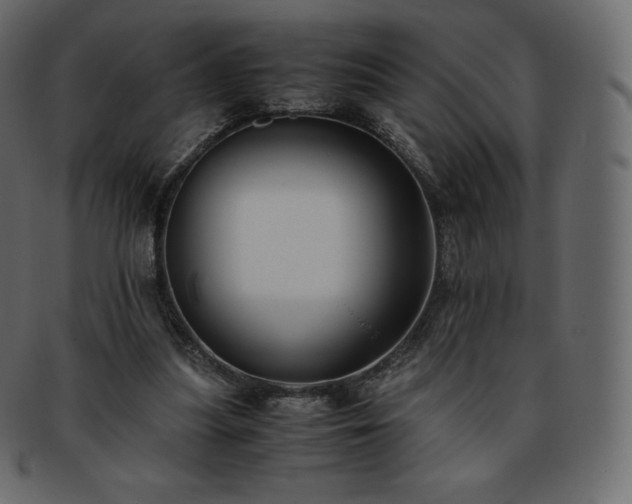 X0000093370251200710191121