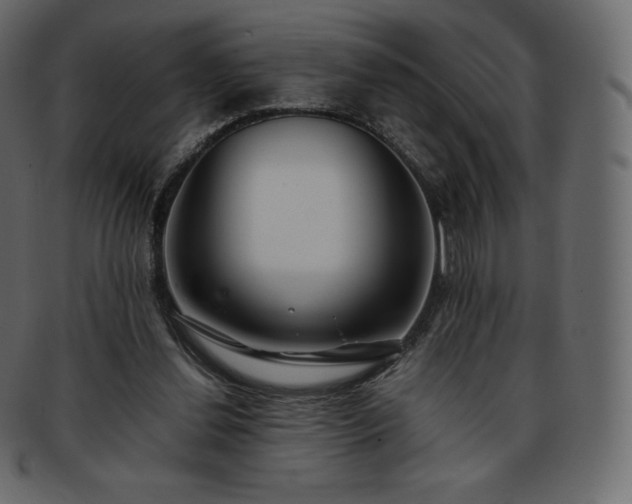 X0000093370252200710191121