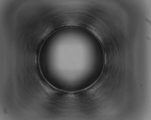 X0000093370253200710191121