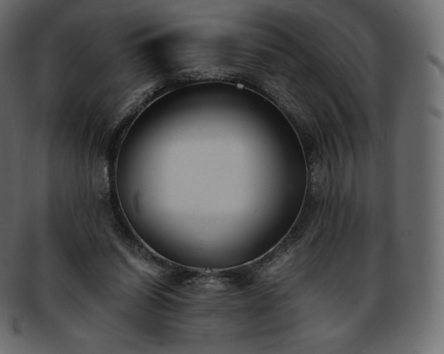 X0000093370254200710191121