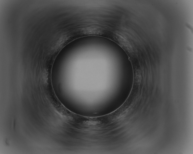 X0000093370255200710191121