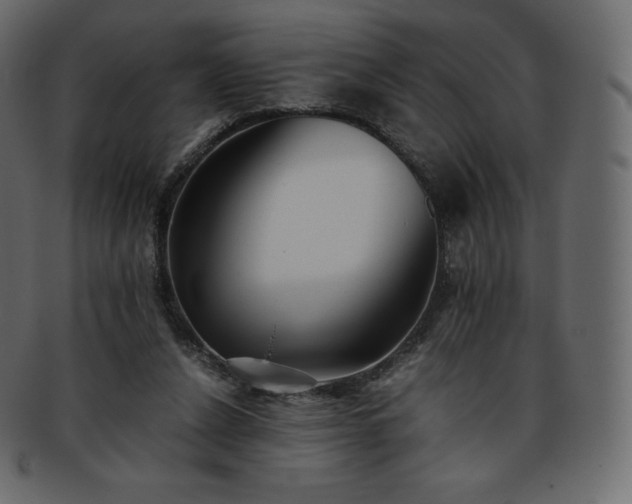 X0000093370256200710191121