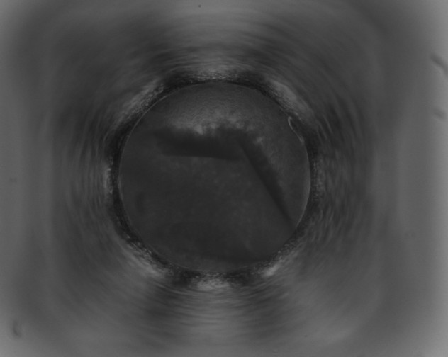 X0000093370258200710191121