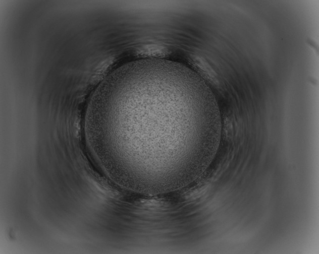 X0000093370259200710191121