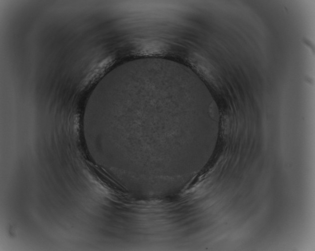 X0000093370260200710191121