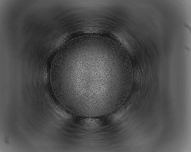 X0000093370261200710191121