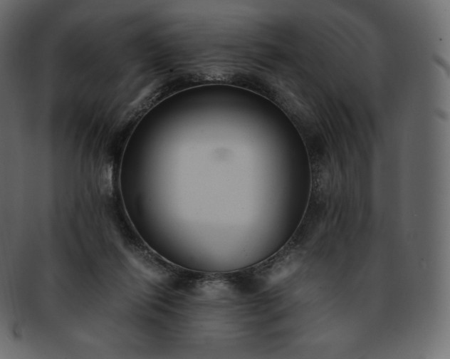 X0000093370262200710191121