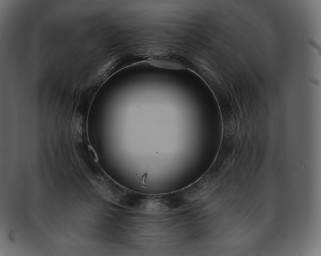 X0000093370264200710191121