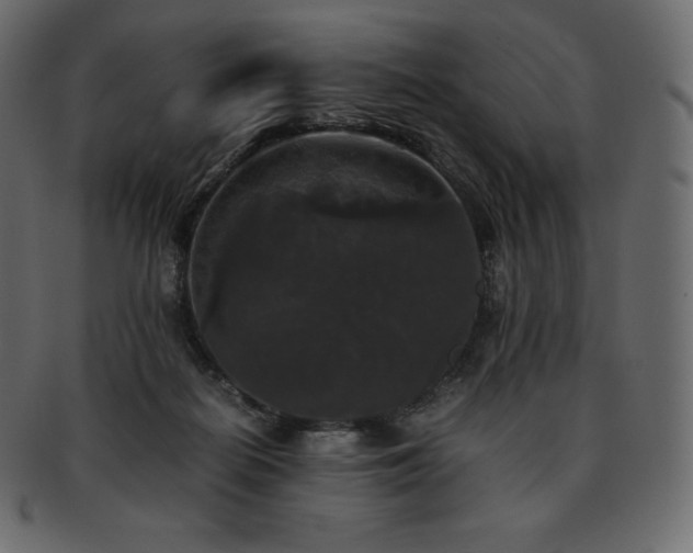 X0000093370266200710191121