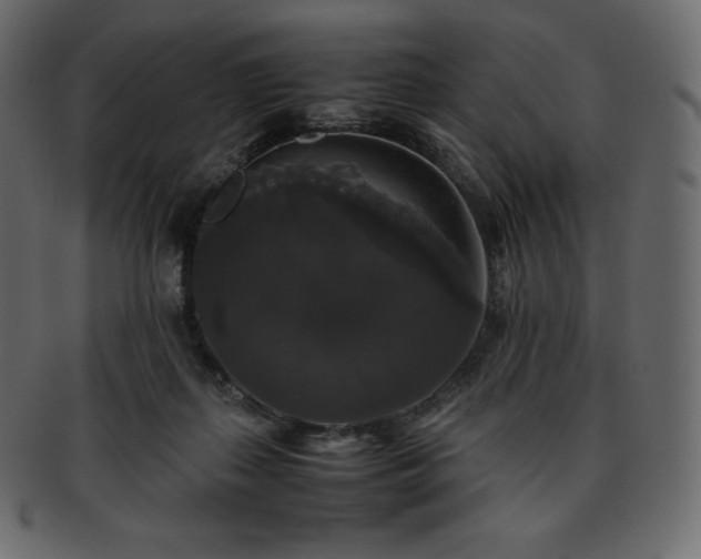 X0000093370267200710191121