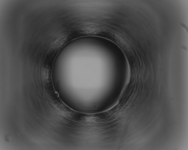 X0000093370268200710191121