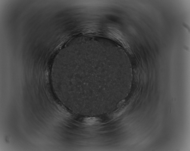 X0000093370269200710191122